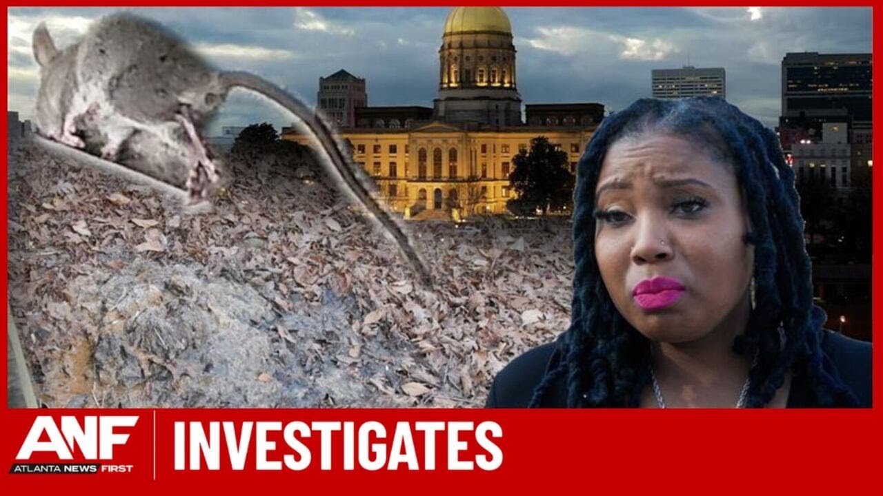 Metro Rats Metro Atlanta mother faces rats, sewage, no heat as Georgia tenant law ...